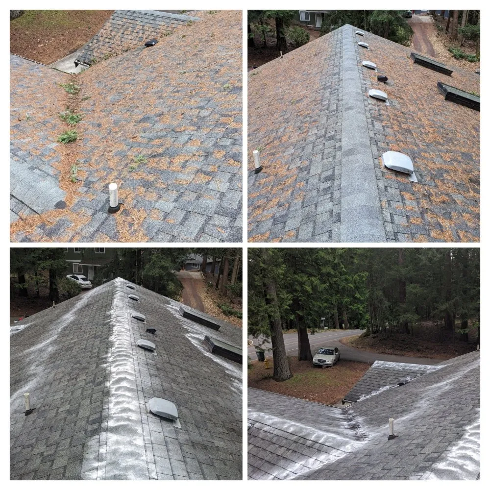 Reliable landscape design for outdoor upgrades across Bellingham, WA - Peritas Outdoor Services