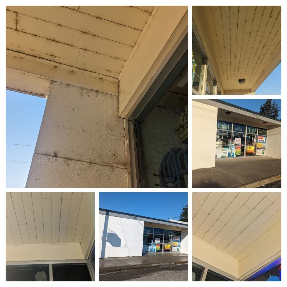 Professional yard maintenance for homes in Bellingham, WA by Peritas Outdoor Services