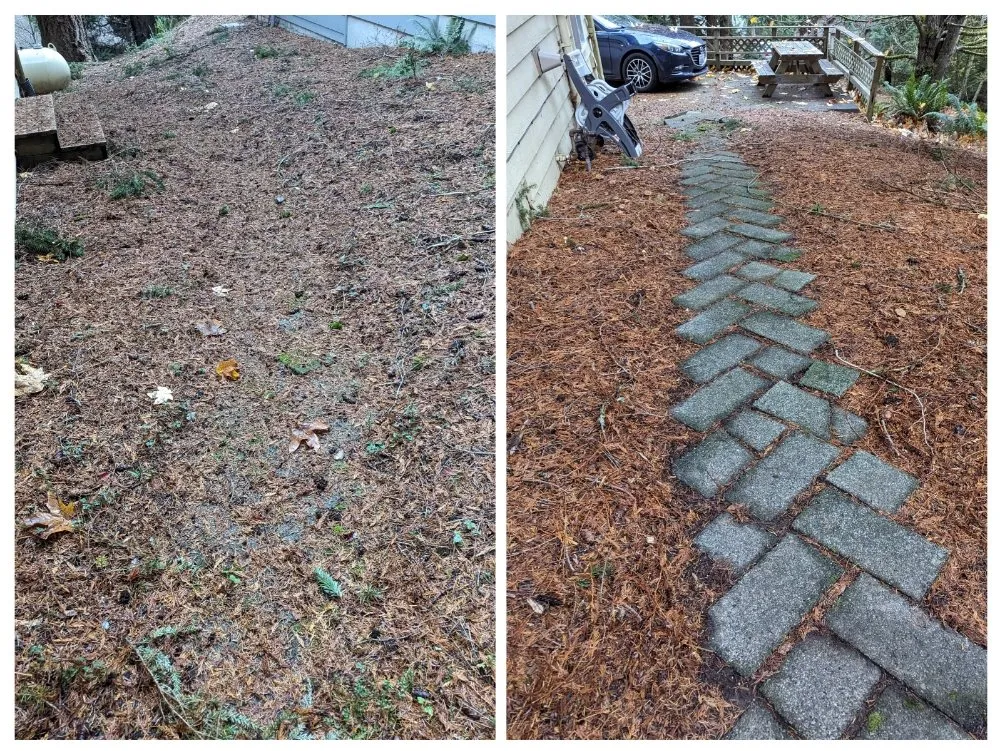 Trusted lawn care service experts serving Bellingham, WA - Peritas Outdoor Services