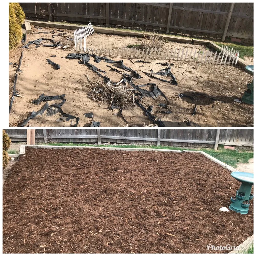 Trusted lawn care service experts serving Colorado Springs, CO - Perk Up Your Yard