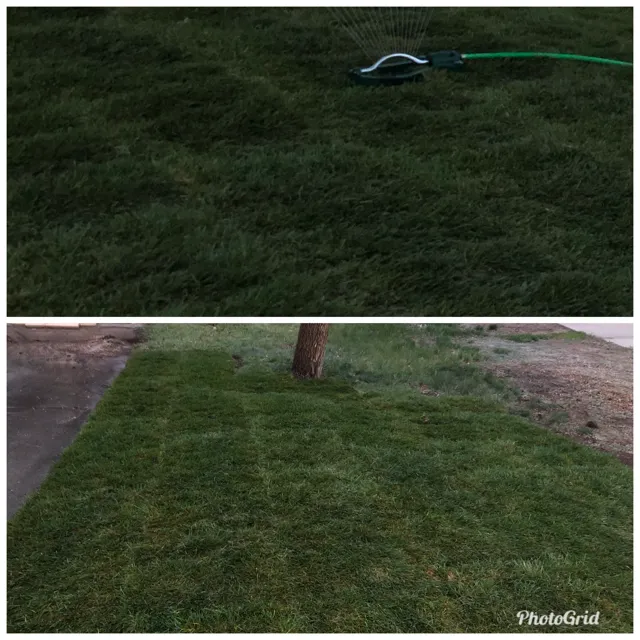 Custom garden landscaping in Colorado Springs, CO - Perk Up Your Yard