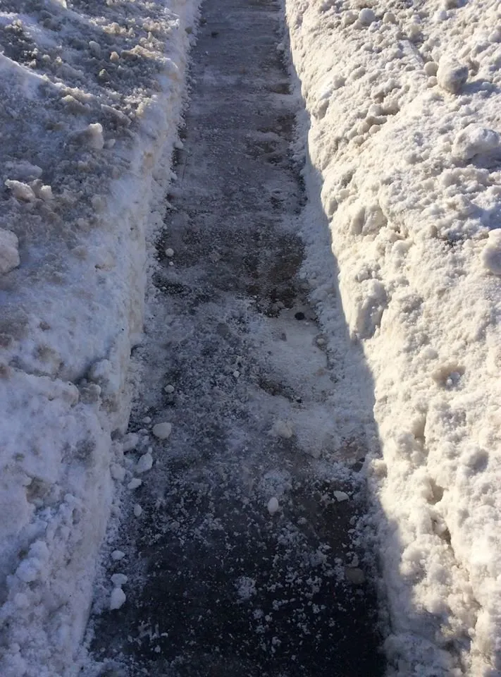 Top-rated landscaping services in Sturgis, MI by Perked Industries