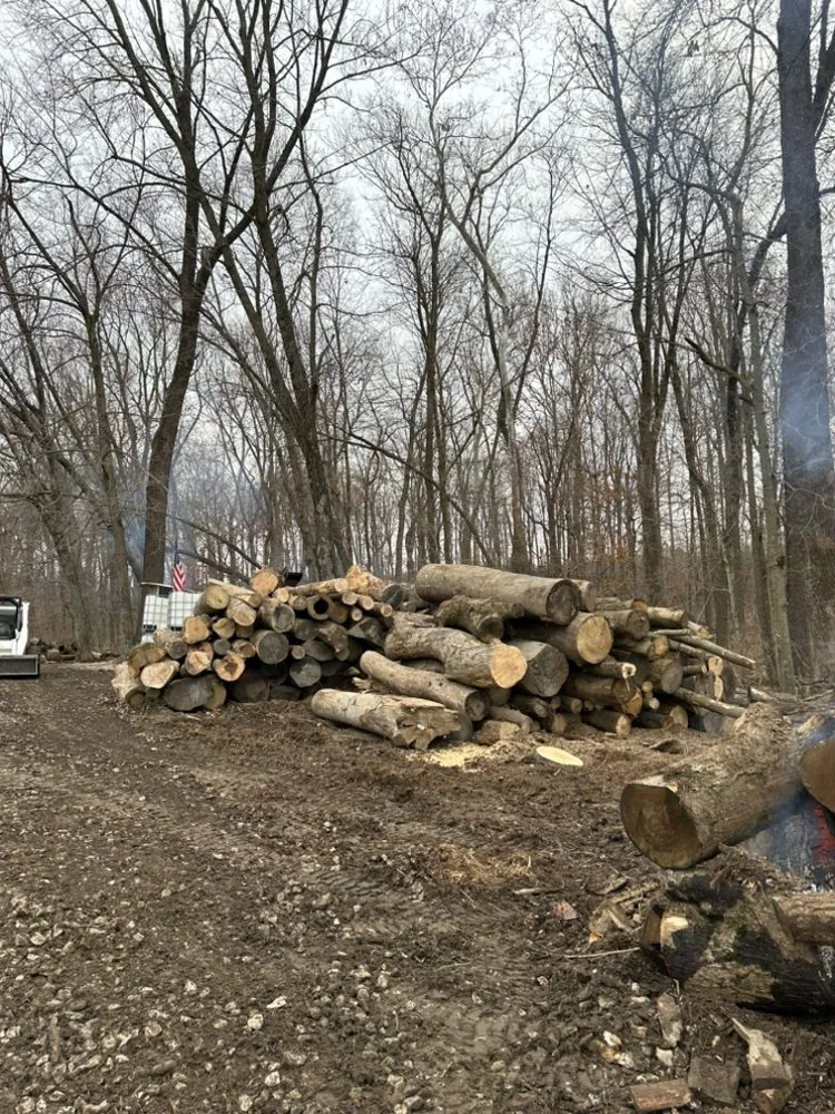 Top-rated outdoor landscaping for homes in Montgomery, IN by Perkins Firewood & Land Management