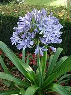 Custom outdoor landscaping for beautiful yards across Metairie, LA - Perkins Landscaping & Maintenance