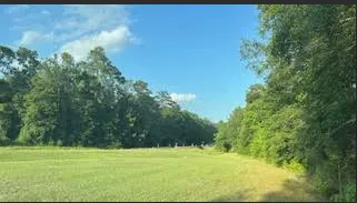 Expert yard cleanup service in Melder, LA - Perkins Lawn Care and Maintenance