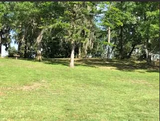 Local yard cleanup service in Melder, LA - Perkins Lawn Care and Maintenance