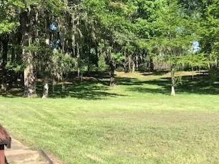 Custom landscape installation for outdoor upgrades across Melder, LA - Perkins Lawn Care and Maintenance