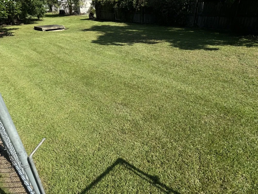 Top-rated lawn mowing service for residential properties across Goose Creek, SC - Perkins Lawn Care