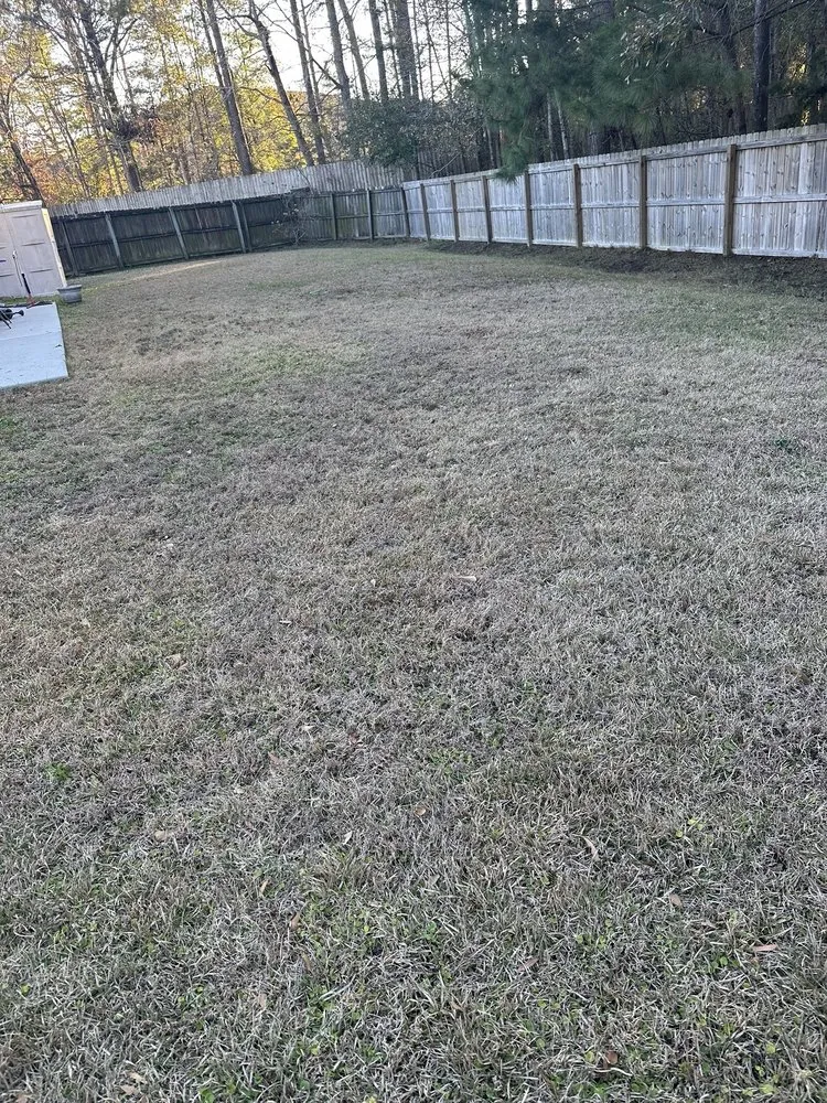 Expert lawn care service for residential properties across Goose Creek, SC - Perkins Lawn Care