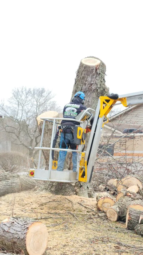 Expert landscaping services experts serving Kalamazoo, MI - Perkins Lawn Care