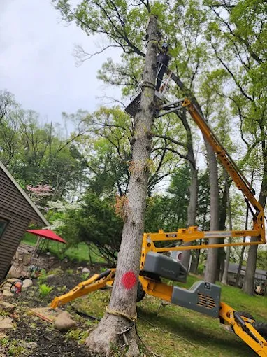 Professional yard cleanup service near you across Kalamazoo, MI - Perkins Lawn Care