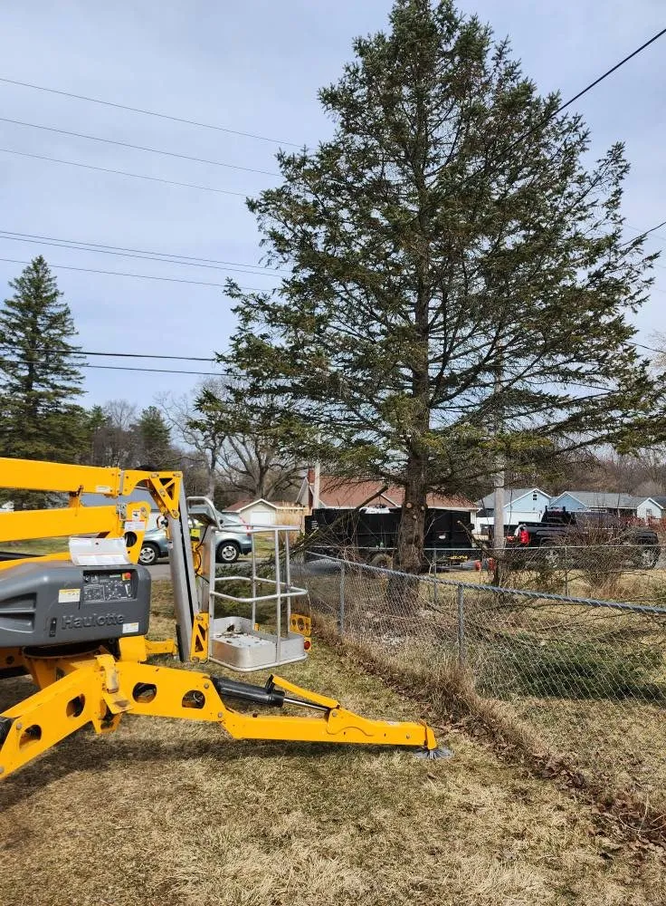 Reliable lawn mowing service in Kalamazoo, MI by Perkins Lawn Care