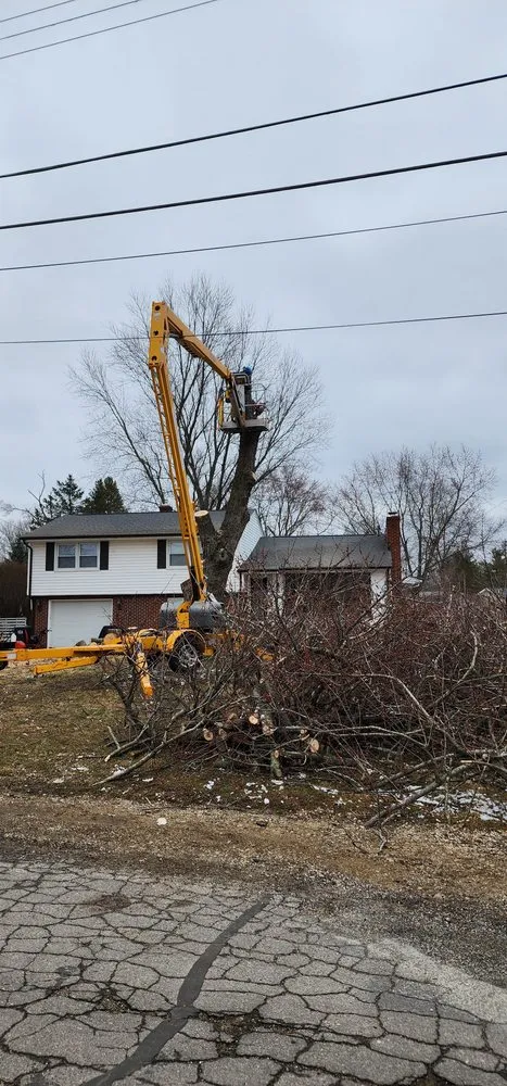 Trusted lawn care service for year-round maintenance across Kalamazoo, MI - Perkins Lawn Care