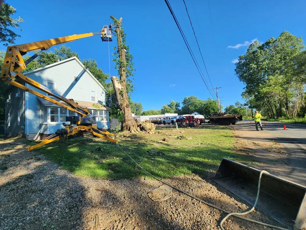 Reliable lawn mowing service in Kalamazoo, MI - Perkins Lawn Care