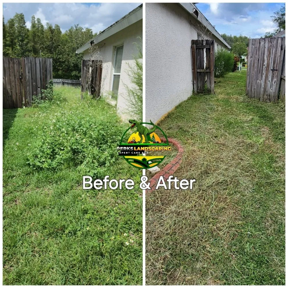Custom lawn care service in Seffner, FL - Perks Land-Scaping