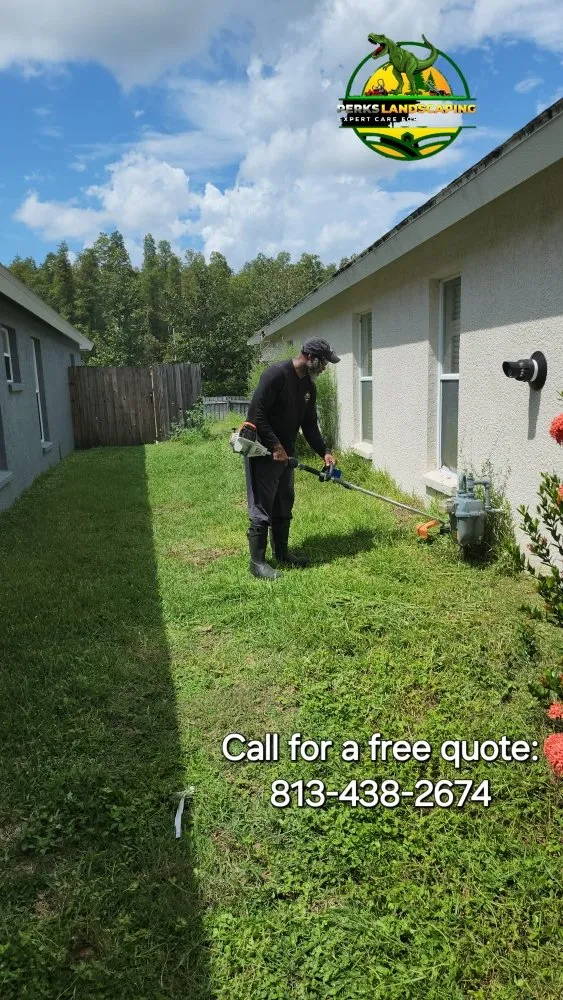 Reliable lawn care service for homes across Seffner, FL - Perks Land-Scaping