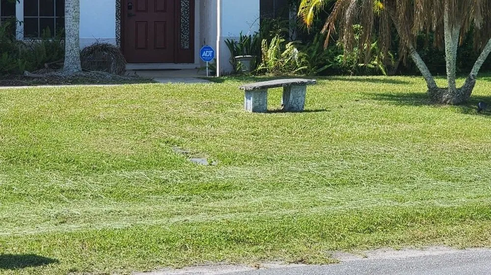 Custom yard maintenance experts serving Seffner, FL - Perks Land-Scaping