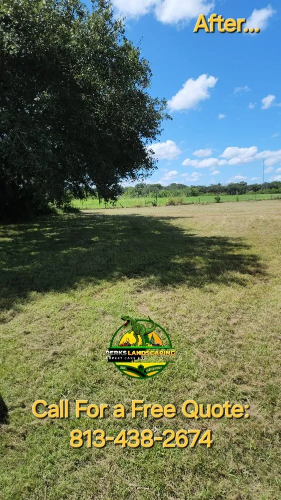 Affordable yard cleanup service near you across Seffner, FL - Perks Land-Scaping