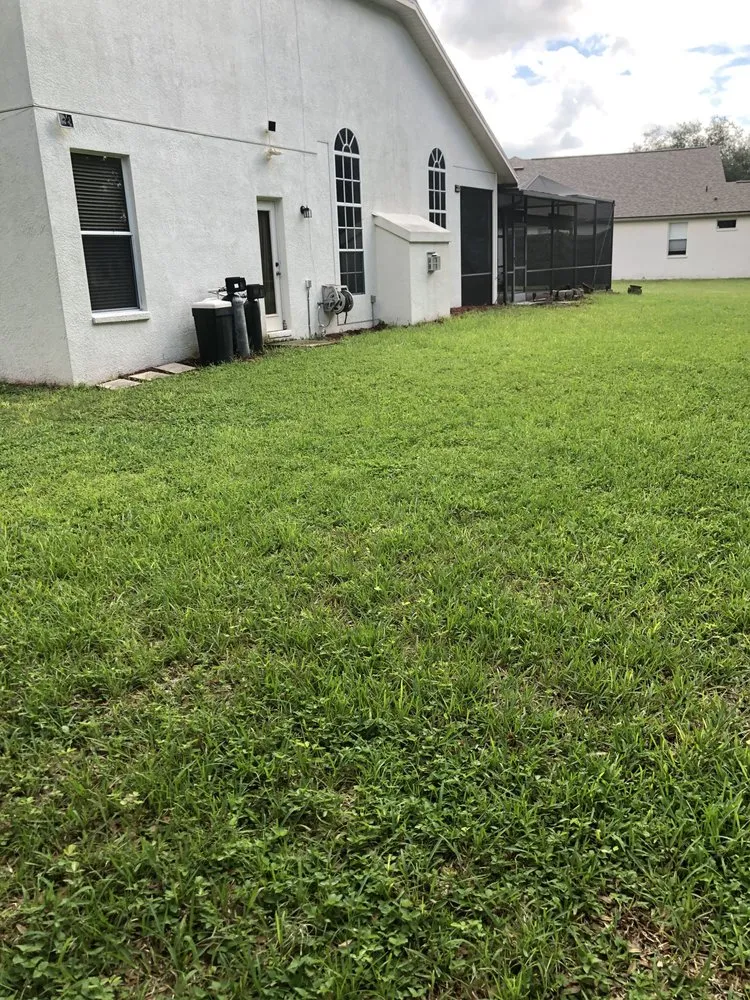 Affordable landscape installation experts serving Seffner, FL - Perks Land-Scaping