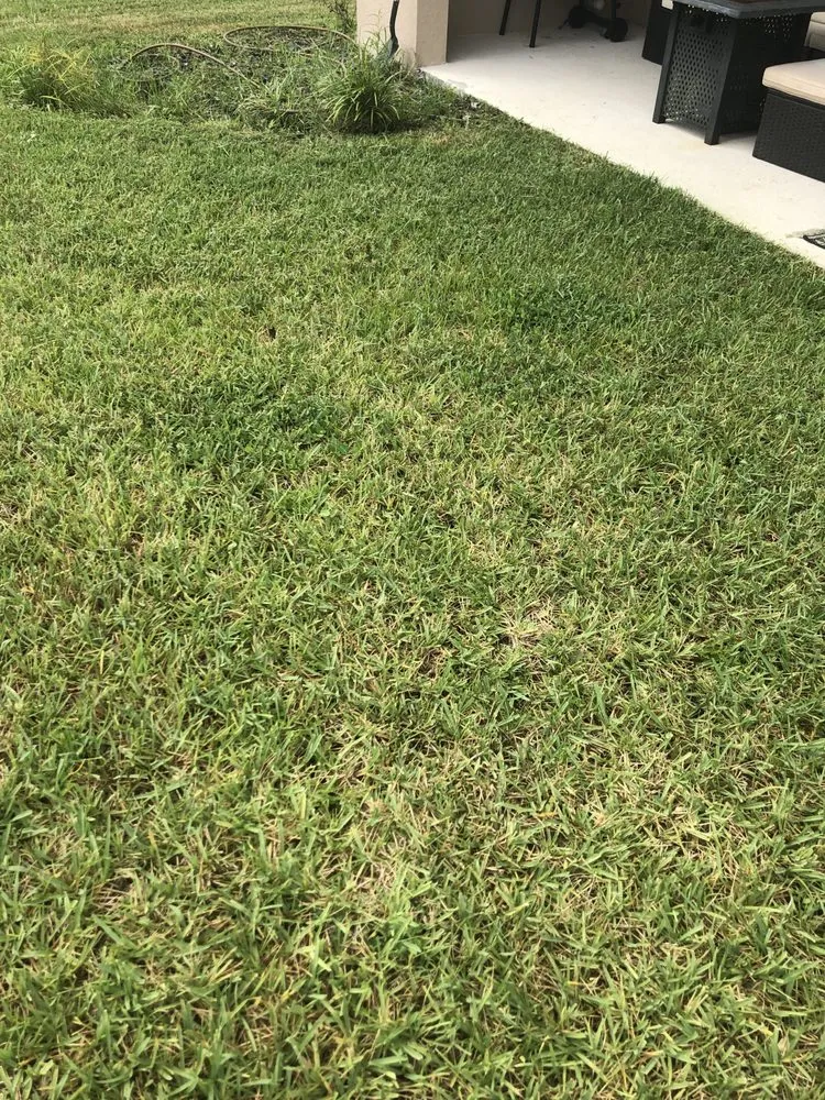 Expert lawn mowing service with custom design in Seffner, FL by Perks Land-Scaping