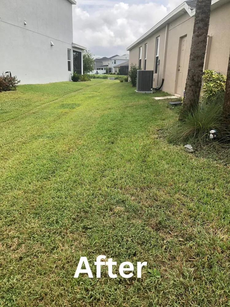 Trusted residential landscaping in Seffner, FL - Perks Land-Scaping