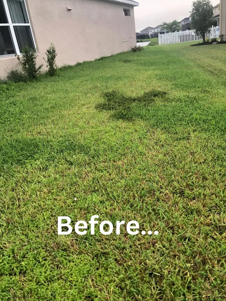 Local lawn care service near you across Seffner, FL - Perks Land-Scaping