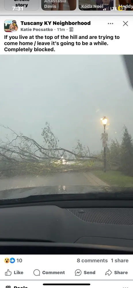 Expert yard maintenance experts serving Elmwood Place, OH - Perky Lawns and Landscaping