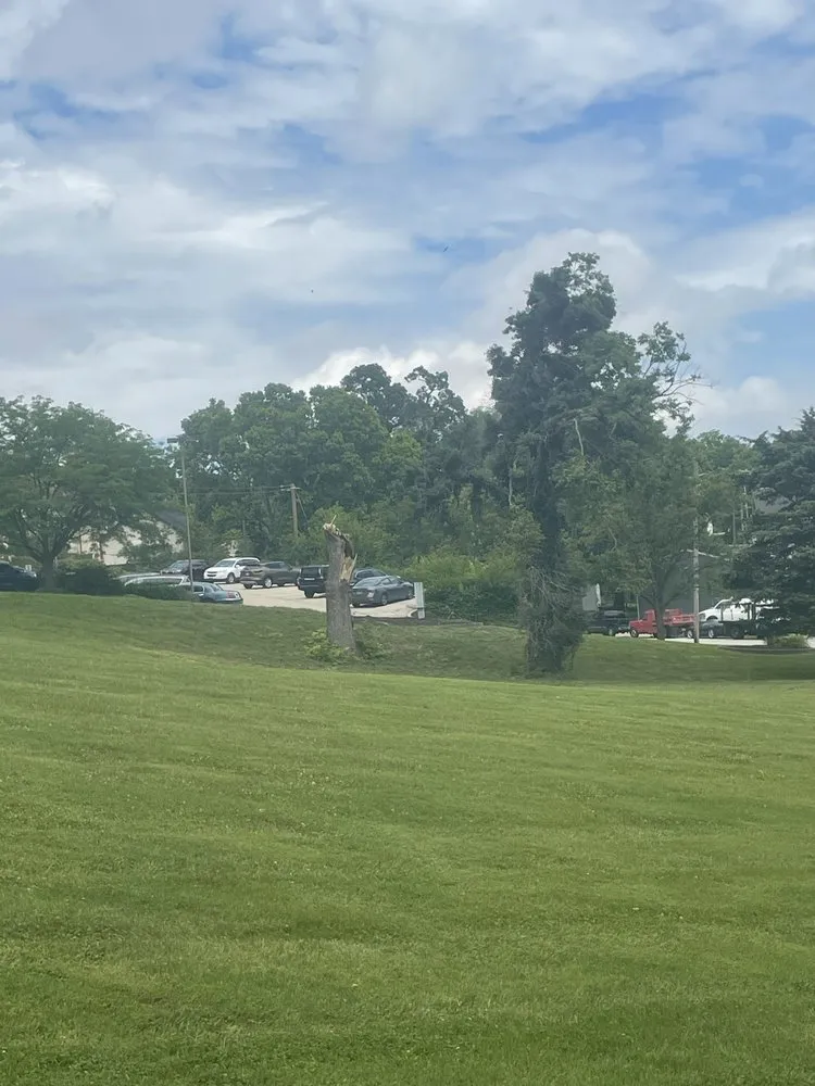 Custom yard maintenance for outdoor upgrades in Elmwood Place, OH by Perky Lawns and Landscaping