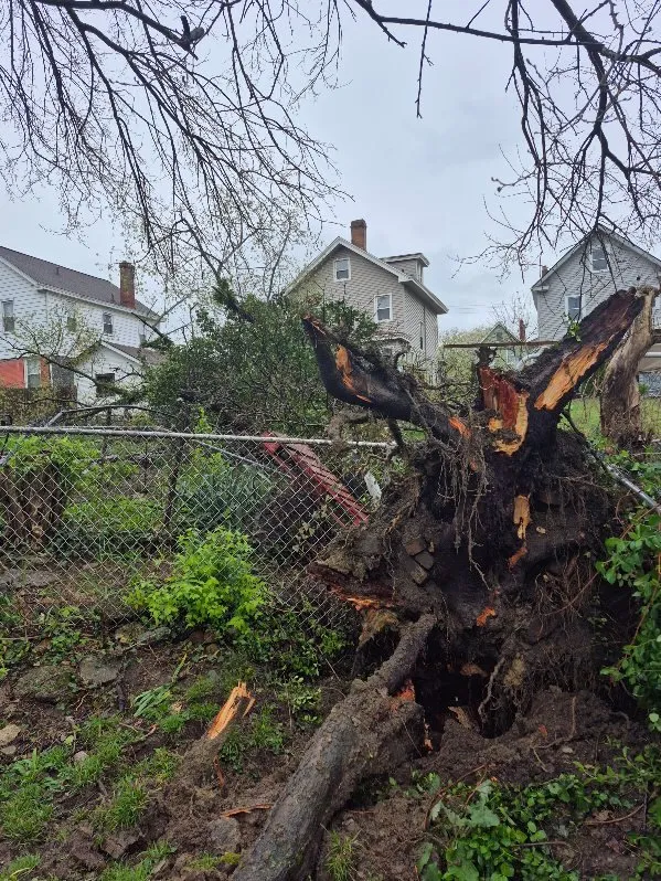 Expert garden landscaping experts serving Elmwood Place, OH - Perky Lawns and Landscaping