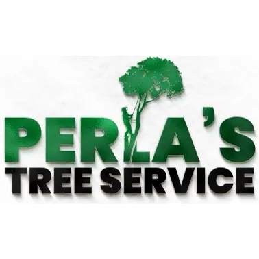 Professional yard maintenance with custom design in Roosevelt, NY by Perla Tree Service