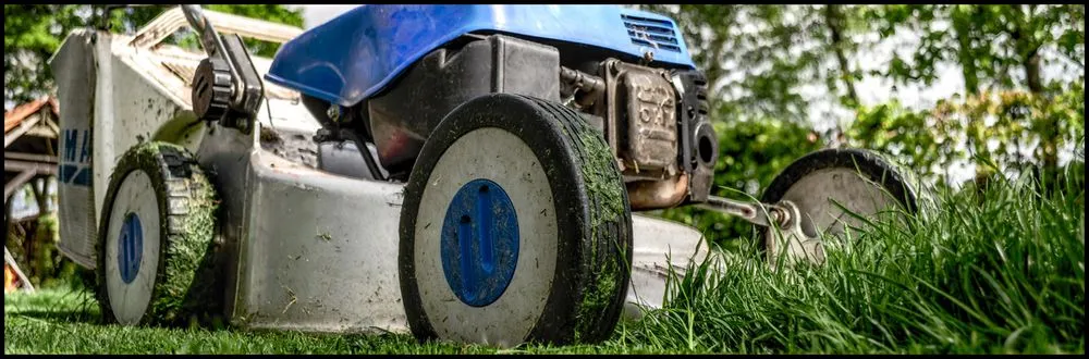 Local yard cleanup service experts serving Woodbridge, VA - Perla's Landscaping