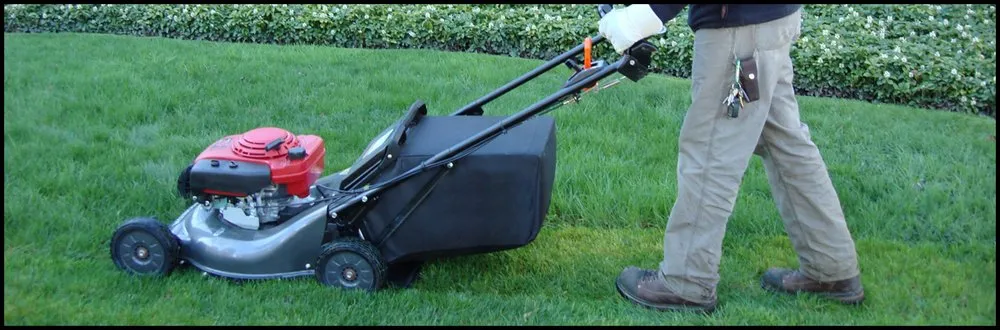 Professional landscape design for beautiful yards across Woodbridge, VA - Perla's Landscaping