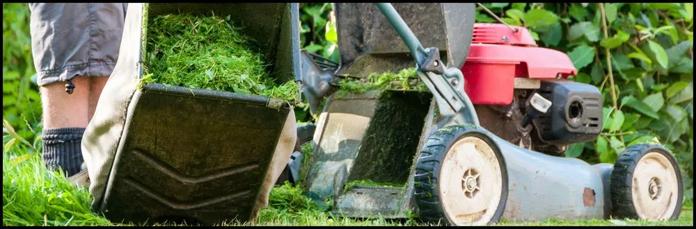 Top-rated lawn care service experts serving Woodbridge, VA - Perla's Landscaping