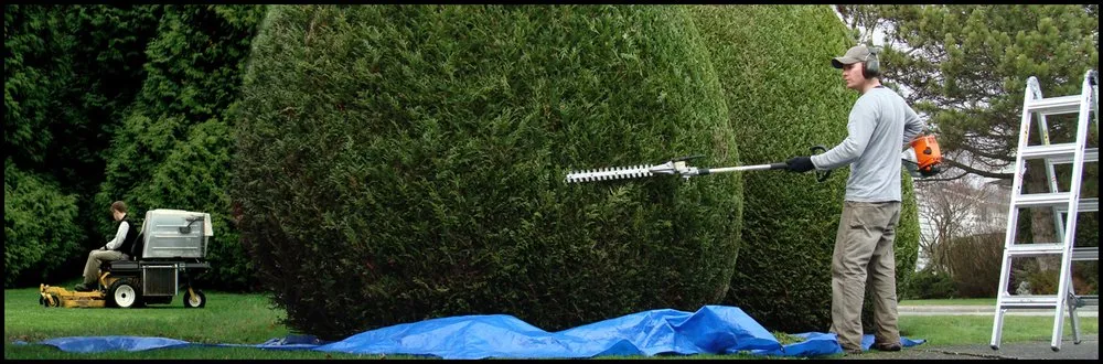 Professional landscape installation for outdoor upgrades in Woodbridge, VA by Perla's Landscaping