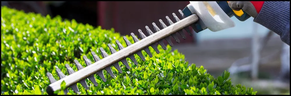 Professional lawn mowing service with custom design across Woodbridge, VA - Perla's Landscaping