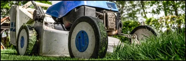 Perla's Landscaping Logo