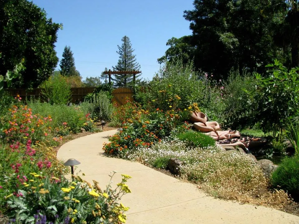 Custom yard cleanup service for homes across Sebastopol, CA - Permaculture Artisans