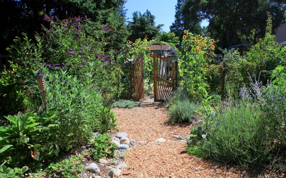 Custom yard cleanup service experts serving Sebastopol, CA - Permaculture Artisans