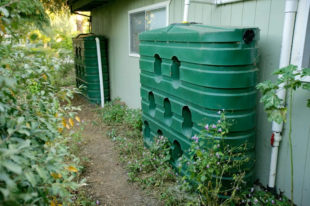 Affordable garden landscaping in Sebastopol, CA - Permaculture Artisans