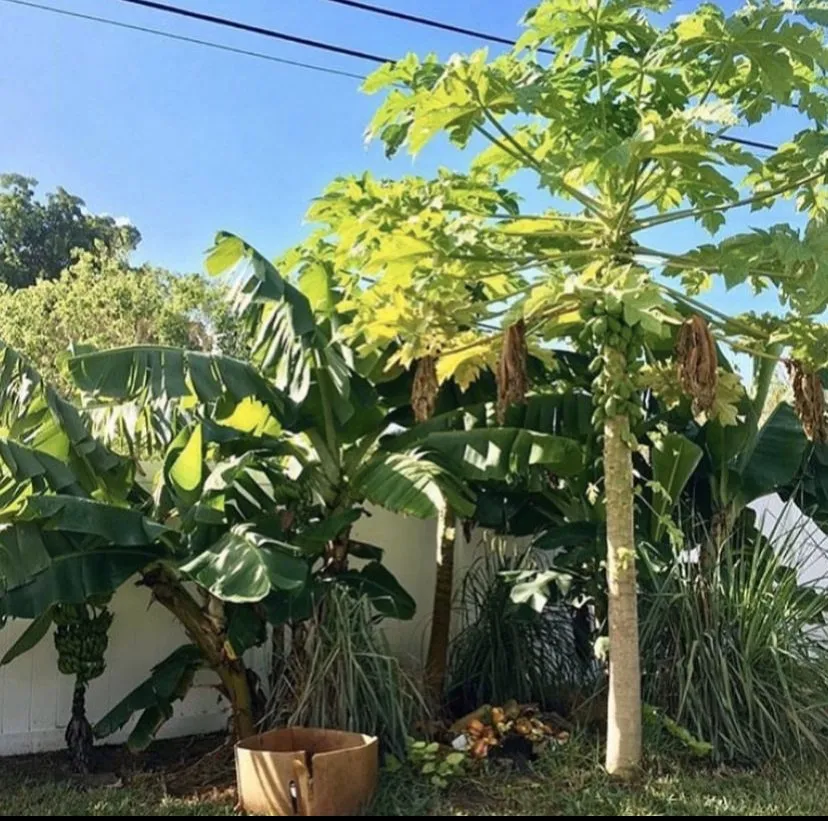 Custom landscaping services experts serving Miami Beach, FL - Permawheel