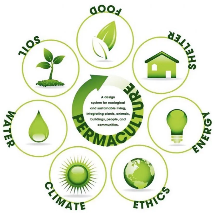 Custom landscape installation in Miami Beach, FL - Permawheel