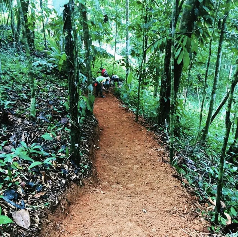 Affordable landscaping services experts serving Miami Beach, FL - Permawheel