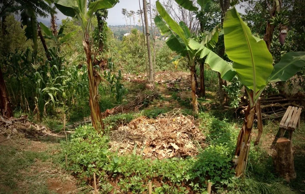 Affordable garden landscaping in Miami Beach, FL by Permawheel