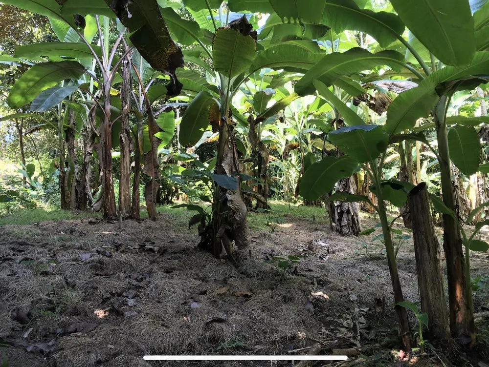 Affordable yard maintenance near you across Miami Beach, FL - Permawheel