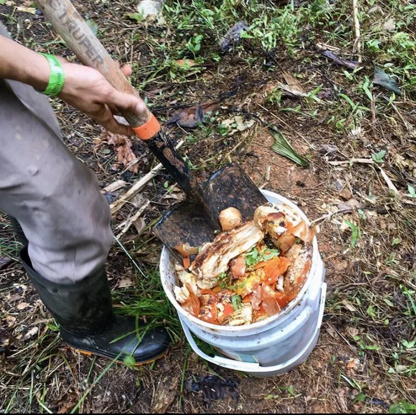 Professional landscaping services with custom design in Miami Beach, FL by Permawheel