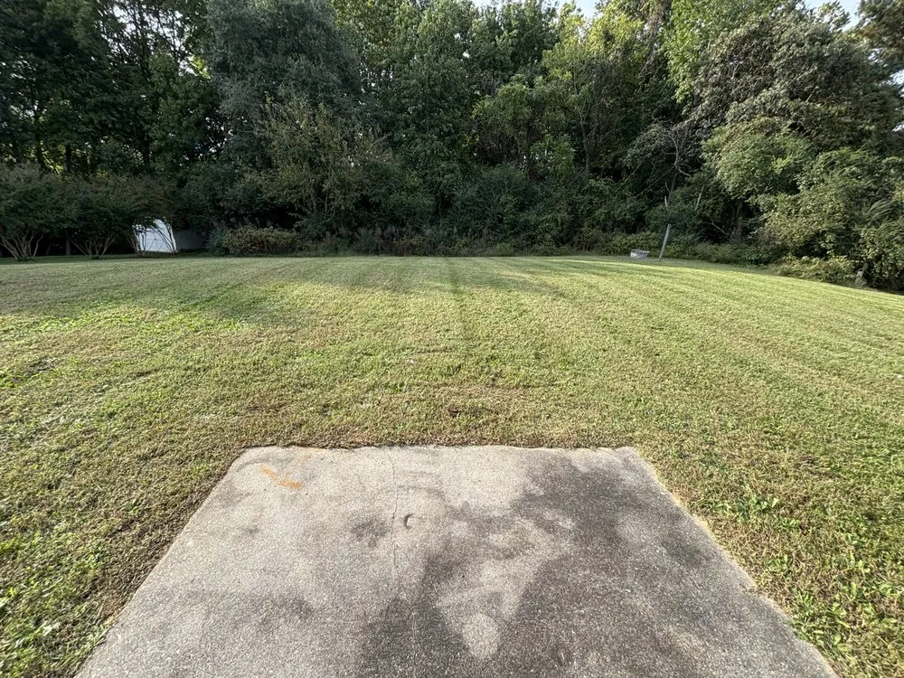 Trusted residential landscaping for beautiful yards across Reedville, VA - Perms Lawn Care