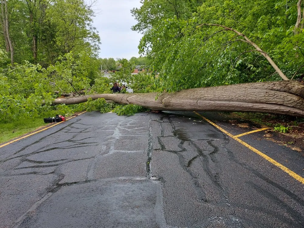 Custom landscape design in Newbury, OH by Perna Landscaping