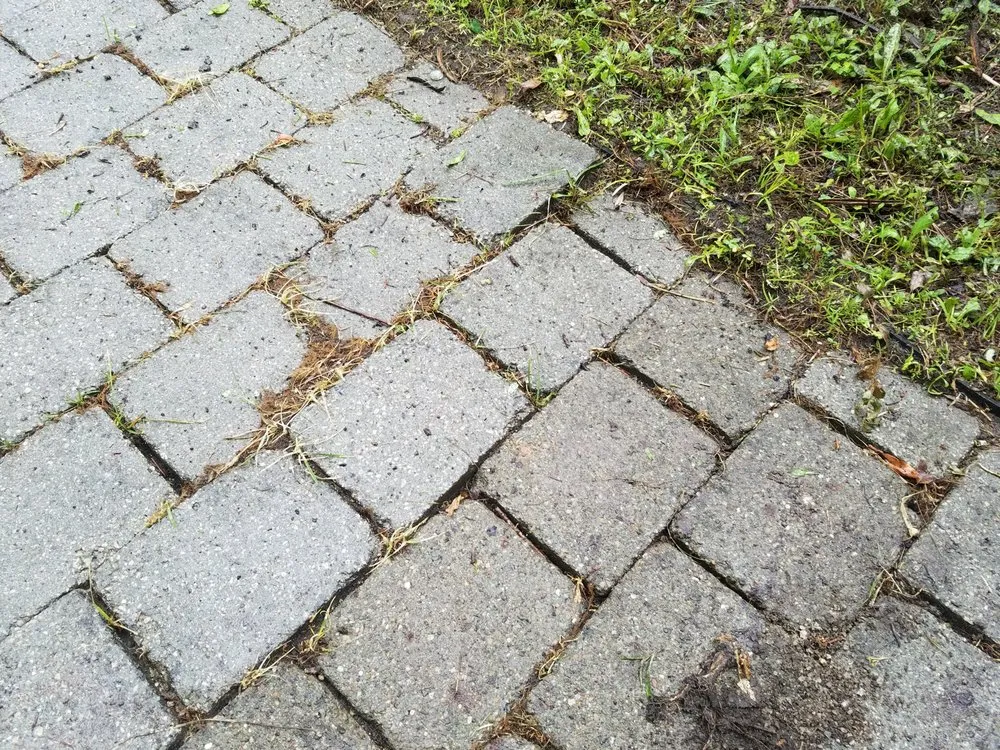 Expert landscape installation in Newbury, OH - Perna Landscaping