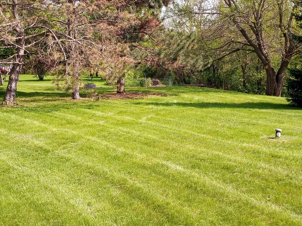 Reliable landscaping services for year-round maintenance in La Crosse, WI by Perrine Lawn Care Services