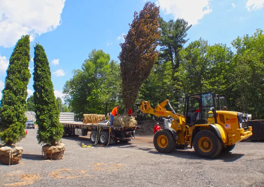 Professional lawn mowing service in Holden, MA - Perrone Landscaping